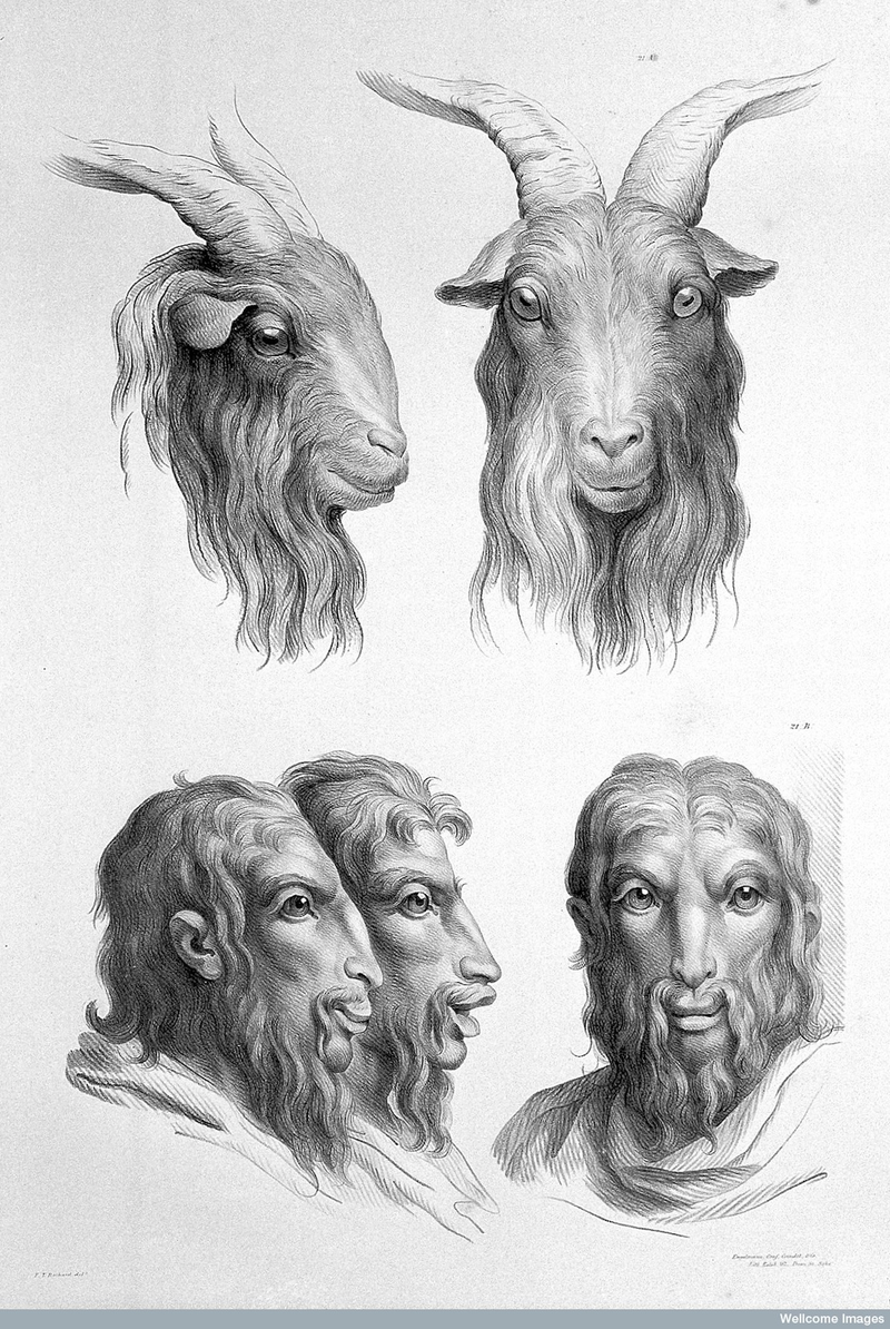 Illustration for article titled Baroque-Era Drawings Reveal Early Ideas About Evolution